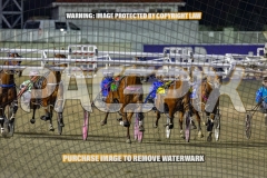 2026_PACEPIX_GP02102026_Race5_SkinnyDippin_WIN_WEB-7