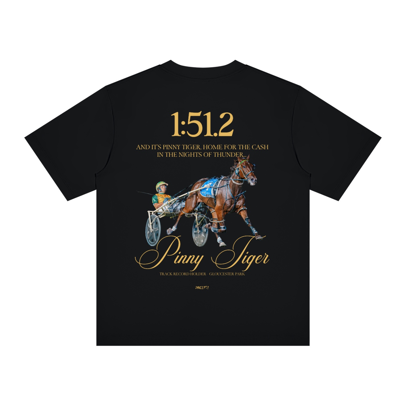 Pacefit - The Pinny Tiger TRH Crewneck Tee - Image 6