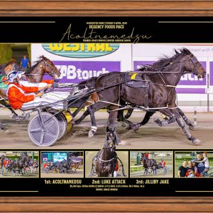 2024_PACEPIX_Reg_Lge_Classic_BlackGold
