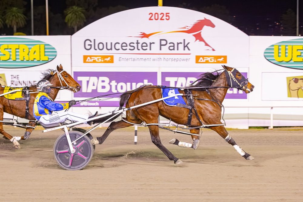 Fakenit Wins the Daintys Dsughter Classic at Gloucester park for gary Hall Snr and Maddison Brown