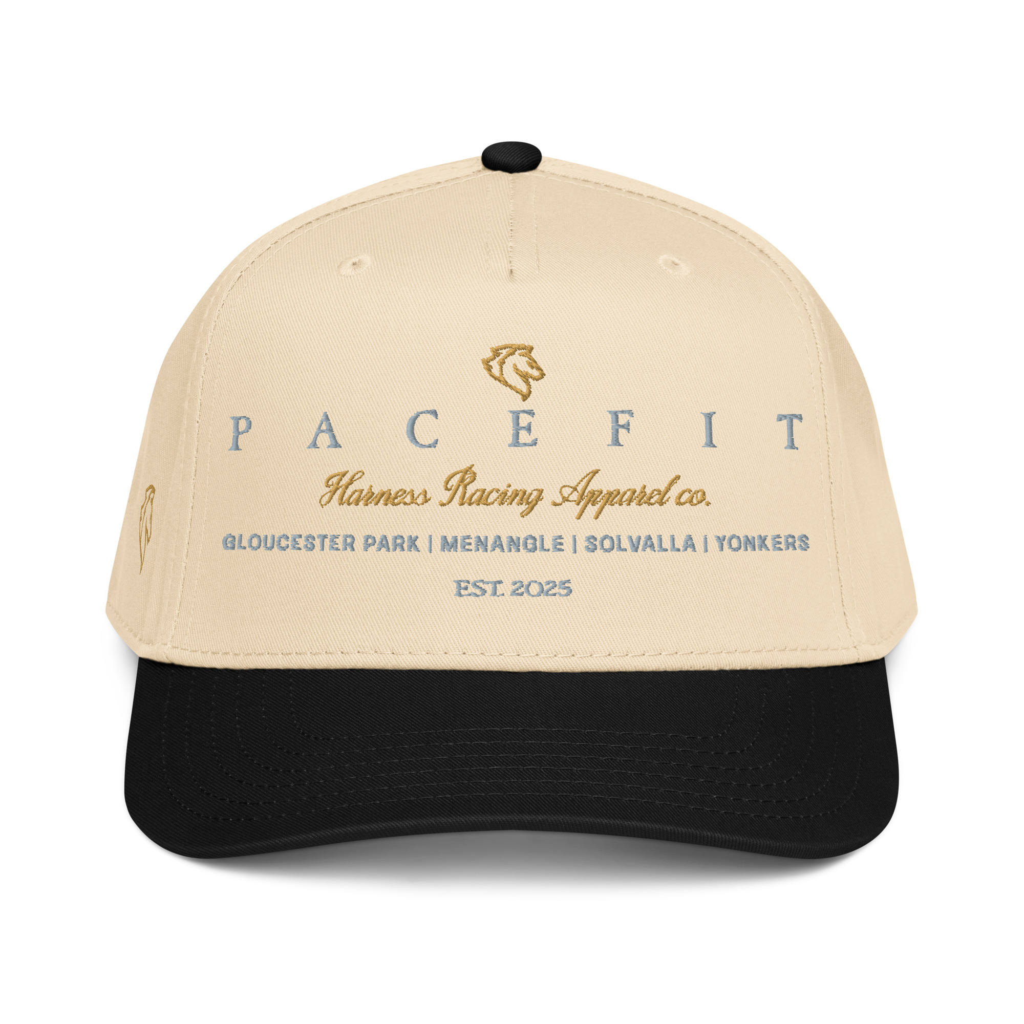 Pacefit - The Classic Snapback Hat - Image 2