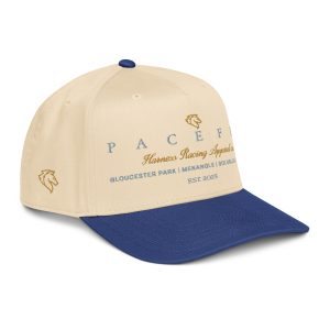 Pacefit - The Classic Snapback Hat