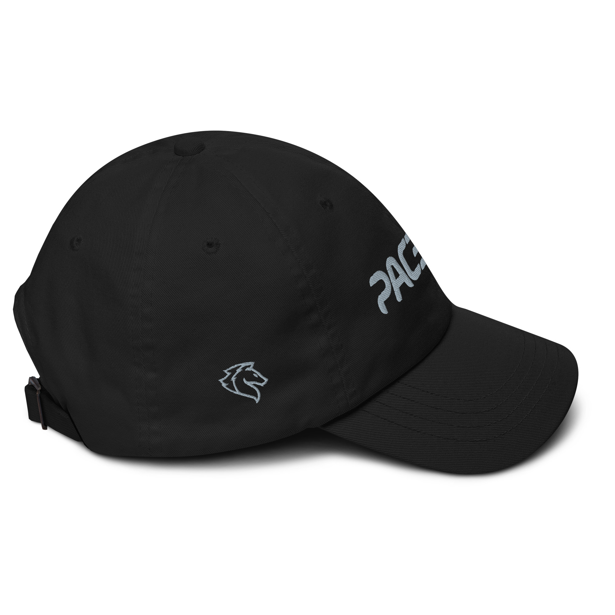 Pacepix - Basic Dad Cap - Image 4