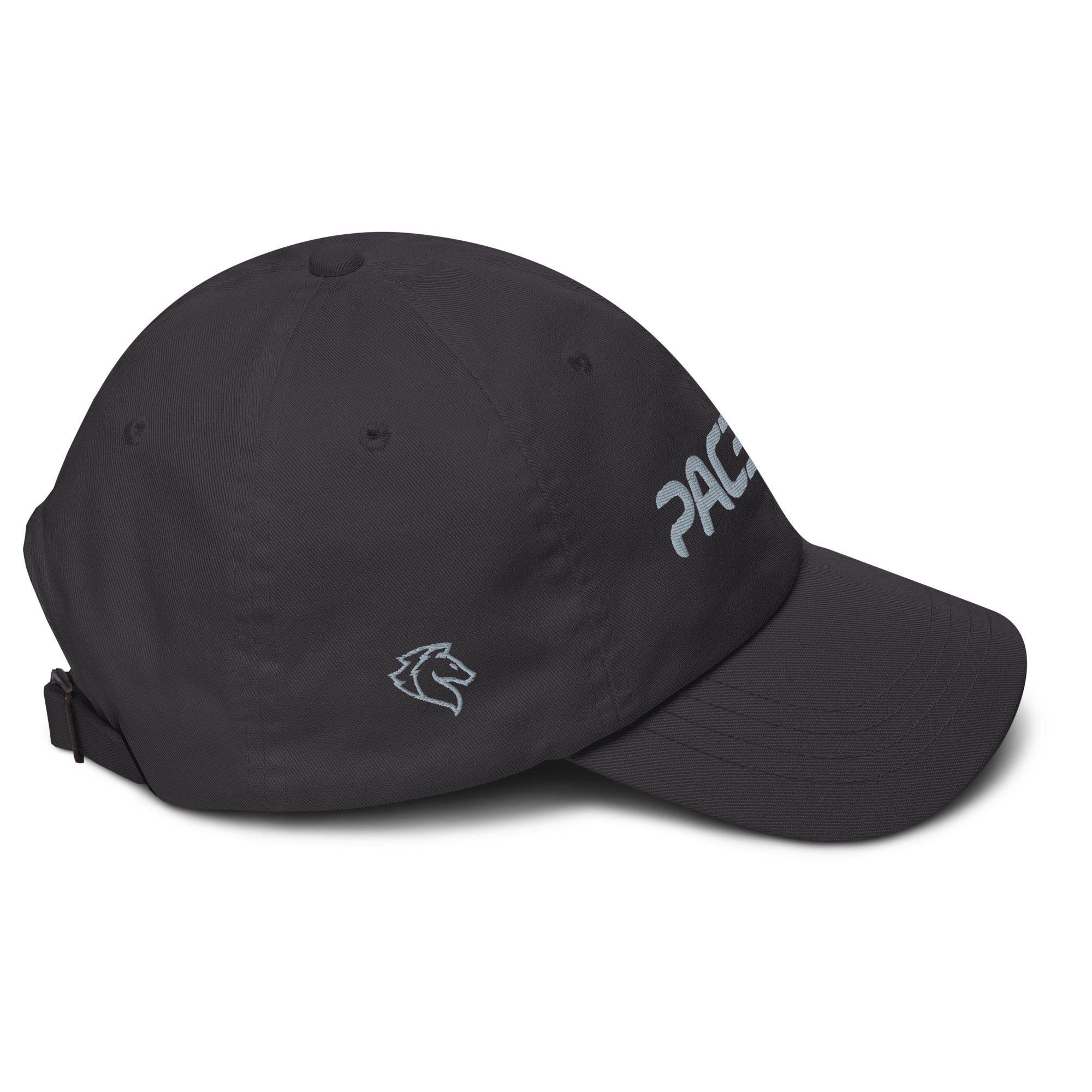 Pacepix - Basic Dad Cap - Image 6