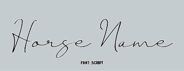 Script